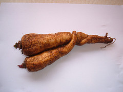 Parsnips of love
